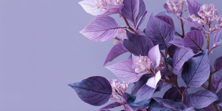 Purple flower with white spots