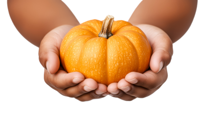 transparent background, isolated image. Hands of an african american child gently holding a vibrant orange pumpkin, showcasing the beauty of autumn harvest and seasonal celebration