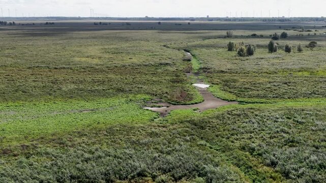 View-over aerial of the Dutch nature park Oostvaardersplassen next to the Markermeer and Dutch Dikes, the Netherlands