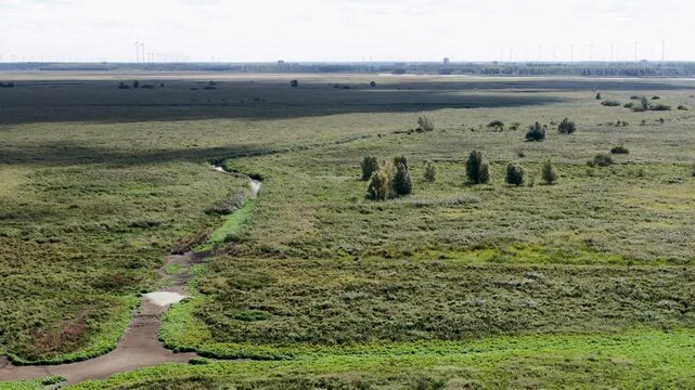 View-over aerial of the Dutch nature park Oostvaardersplassen next to the Markermeer and Dutch Dikes, the Netherlands