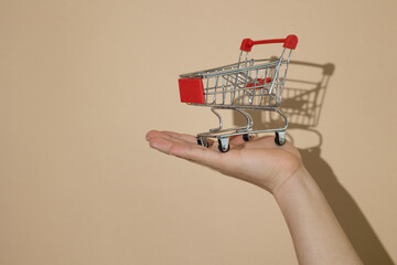 Hand holding a miniature shopping cart, concept of shopping, consumption, and personal financial...