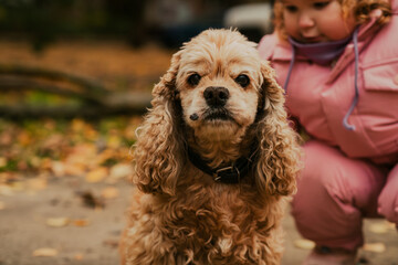 A fluffy spaniel stands on a path surrounded by fallen leaves. A child in a pink outfit reaches towards the dog, creating a joyful scene in the park on a sunny autumn day.