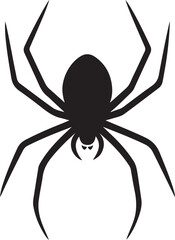 Black spider silhouette with eight legs on white background, Insect spider vector illustration
