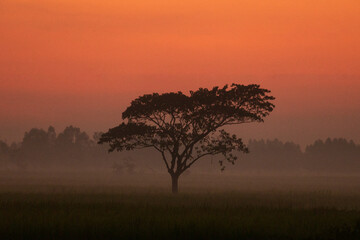 sunrise in the morning