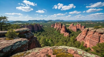 Naklejka premium Rugged red rock formations emerge from a dense pine forest under a blue sky