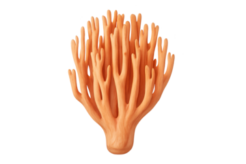 Bright orange coral sculpture with branching arms, reef motif, decorative home decor gender-neutral, ethnicity not applicable