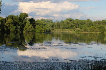 landscape view of pond at a local park 
