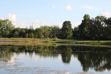 Fototapeta premium landscape view of pond at a local park 