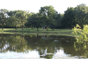 Fototapeta premium landscape view of pond at a local park 