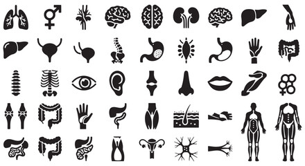 Anatomy glyph icon set. Vector pictograms of body organs, bone, skeleton, spine, eye, ear, nose, mouth, lips, hand, foot, stomach, kidneys, bladder, black sign silhouette illustration