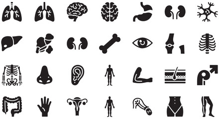 Anatomy glyph icon set. Vector pictograms of body organs, bone, skeleton, spine, eye, ear, nose, mouth, lips, hand, foot, stomach, kidneys, bladder, black sign silhouette illustration