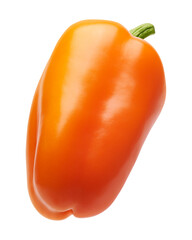 Desain tanpa judul - 1