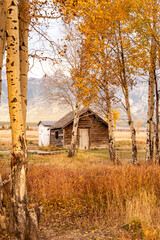 A rustic log cabin stands amidst a golden autumn landscape, surrounded by birch trees (Betula spp.) with yellow leaves. The scene unfolds in front of a backdrop of tall, rugged mountains