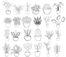 Set of outline doodle cactus and succulents outlines isolated vector illustrations
