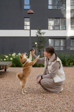 Woman training dog outdoors during a  walk