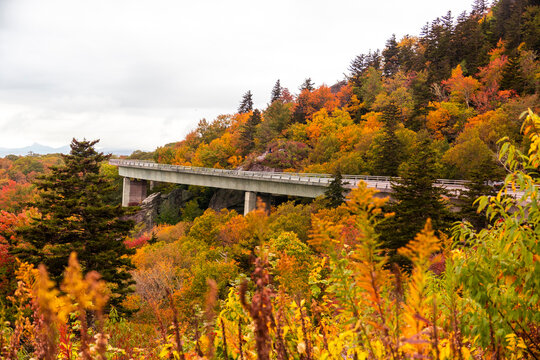 scenic autumn mountain, calm overpass arching through vibrant foliage with misty hills in distance