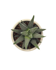 Desain tanpa judul - 1