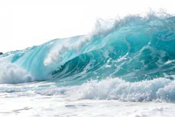 beach ocean wave top view, isolated on a white or transparent background, cut out on PNG, generated AI