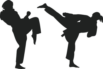 Martial Arts Fighter High Kick Silhouette