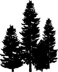 Pine Evergreen Forest Silhouette