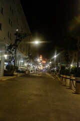 Night view of Sanchez Prados promenade with decorative lights