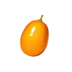 A single kumquat fruit isolated on a transparent background, showcasing its vibrant orange peel and textured surface