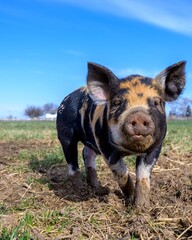 Desain tanpa judul - 1