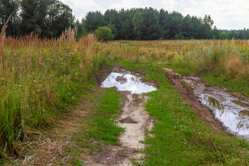 Obraz premium A picturesque rural landscape with a muddy dirt road and puddles reflecting a cloudy sky, surrounded by green grass, wildflowers, and a forest in the background. 