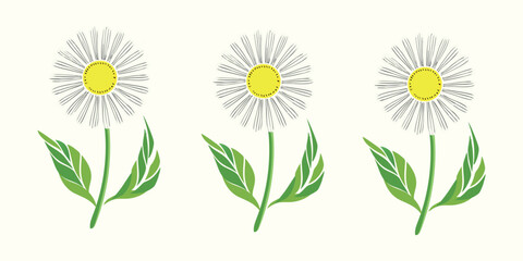 Three Stylized Daisy Flowers with Green Leaves on Cream Background

Minimalist Botanical Illustration of Daisies in a Row

Vector Daisy Flowers with Yellow Centers and Black Petals

Floral Line Art: T