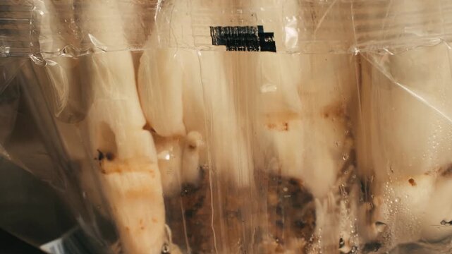 Fresh brown shimeji edible mushrooms native to East Asia, buna shimeji close up tasting 