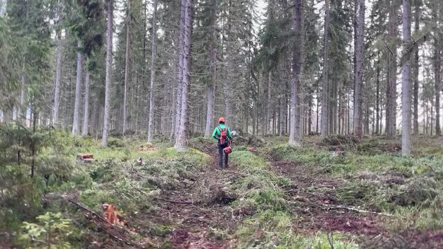 Man walking through tall forest wearing full gear and carrying brushcutter steady steps calm atmosphere natural work scene woodland focus outdoor labor green surroundings