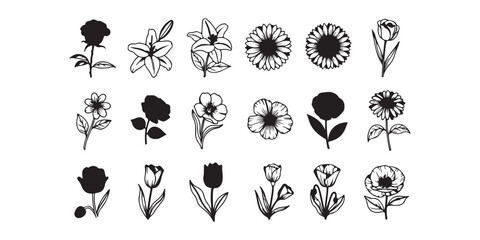 Vector collection of hand drawn plants. Botanical set of sketch flowers and branches