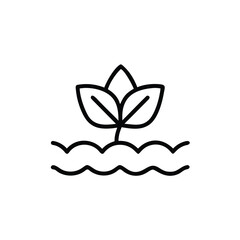 butterfly on a white background