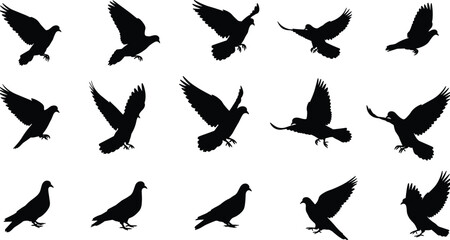 Silhouette of flying and standing pigeons collection, bird vector illustration set, isolated black doves in various flight poses