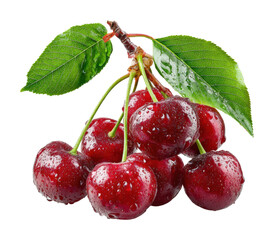 Fresh cherry bunch orchard food natural environment isolated on transparent background