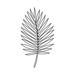 Obraz premium Minimalist Tropical Palm Leaf Line Drawing. Line art. Illustration
