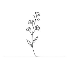 Minimalist Wildflower Stem Line Drawing. Line art. Illustration