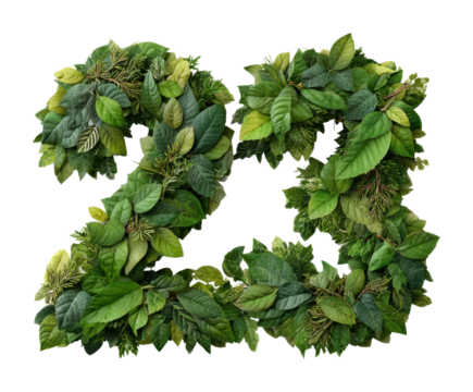 Greenery number 23 displayed in nature leaf composition isolated on transparent background