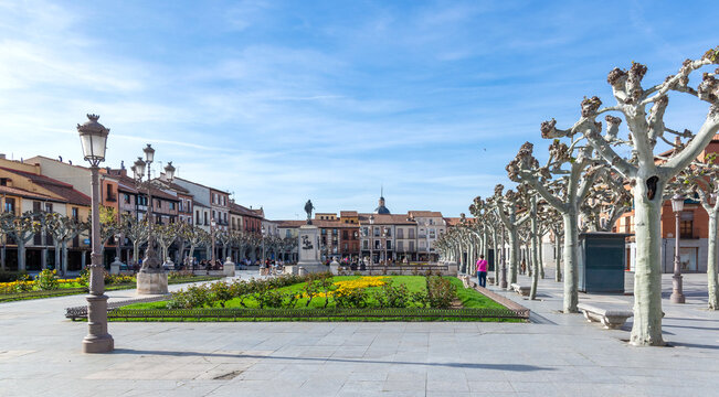 The expansive Plaza de Cervantes features formal gardens and rows of heavily pollarded plane trees, lining the historic central square of Alcal&aacute; de Henares, Spain.