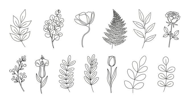 Diverse botanical line art illustrations, a sophisticated collection of hand-drawn floral and leaf elements in a minimalist vector graphic style perfect for creative design projects