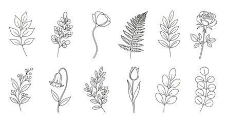 Botanical Line Art Collection Delicate Floral Illustrations for Graphic Design