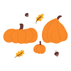 Autumn orange pumpkins, acorns and oak leaves in flat cartoon design. Cosy seasonal harvest, farming crop collection. Halloween and Thanksgiving holiday decoration. Vector illustration isolated.