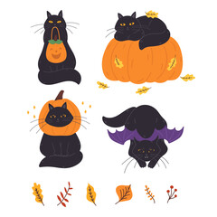 Halloween black cats set in flat cartoon design. Bundle of cute october mascot pets with pumpkin, holiday costumes with mask or vampire wings, trick or treat bag. Vector illustration isolated.