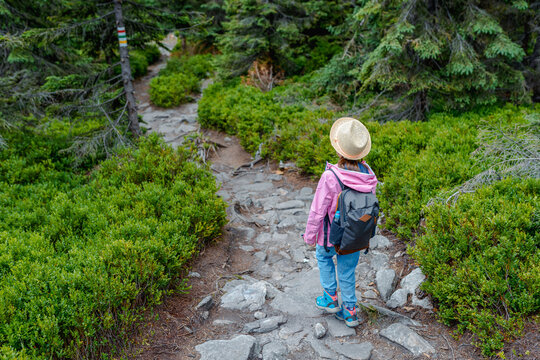 Rear view of a child hiker in a straw hat and pink jacket walking on a rocky forest trail with backpack, waymarked path through green shrubs and conifer trees, concept of youth adventure - Powered by Adobe