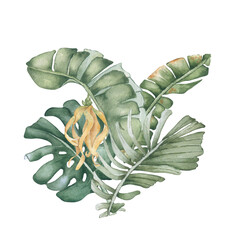 Bush of tropical leaves watercolor illustration in pastel green tones isolated. Monstera and areca palm fronds exotic plants hand painted. Lush foliage drawing for resort branding, tropical design.