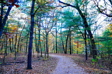 Lexington, Massachusetts, USA: 10 25 2025: The fall foliage red leaf landscape Minute Man National Historical Park at Massachusetts, USA. It commemorates the battle in the American Revolutionary War	
