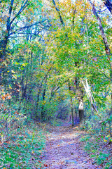 Lexington, Massachusetts, USA: 10 25 2025: The fall foliage red leaf landscape Minute Man National Historical Park at Massachusetts, USA. It commemorates the battle in the American Revolutionary War	
