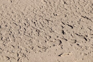 Close-up of cracked ground in an arid landscape, useful for climate and drought concepts.