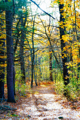 Lexington, Massachusetts, USA: 10 25 2025: The fall foliage red leaf landscape Minute Man National Historical Park at Massachusetts, USA. It commemorates the battle in the American Revolutionary War	
