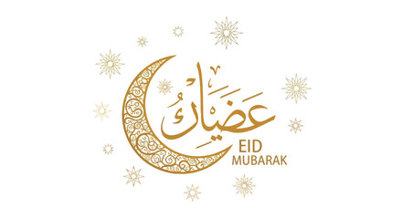 Kitchen whisk for baking and cooking a culinary tool